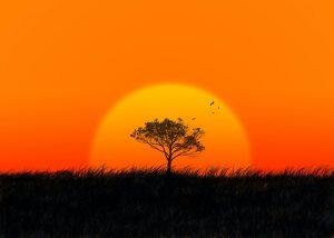 partir-en-afrique