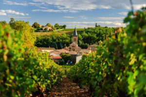 le-beaujolais-