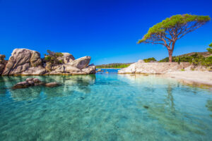 plages-de-corse