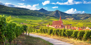 route-vins-alsace